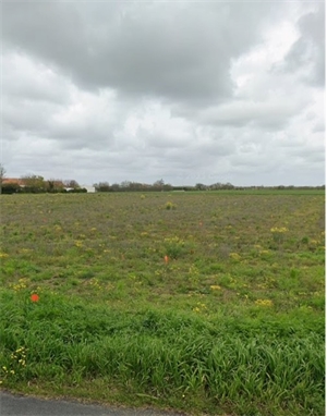 terrain a batir à la vente -   17170  SAINT JEAN DE LIVERSAY, surface 375 m2 vente terrain a batir - UBI457050206